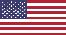USA Icon
